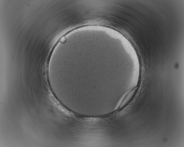 X0000114580854200911301333