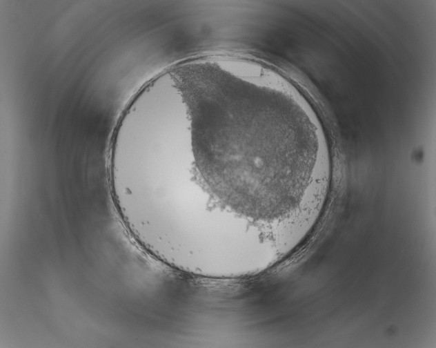 X0000114580856200911301333