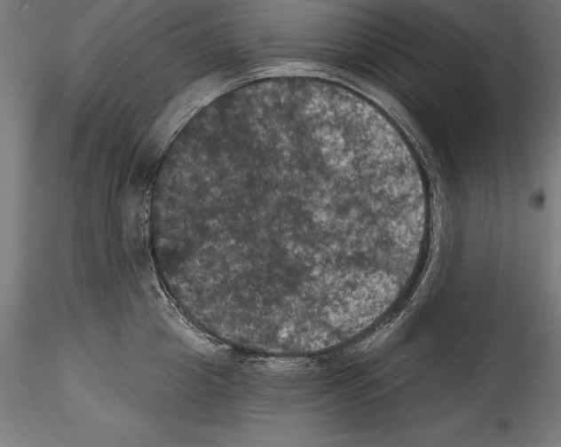 X0000114580857200911301333