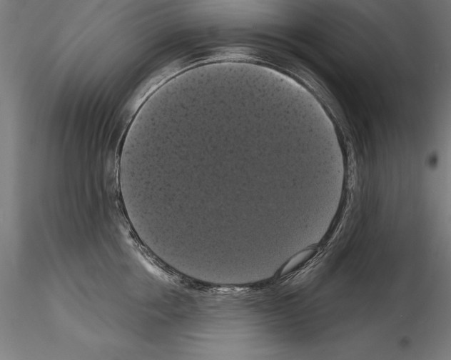 X0000114580858200911301333