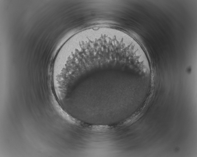 X0000114580859200911301333