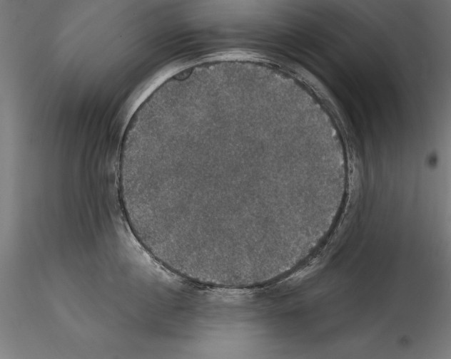 X0000114580860200911301333