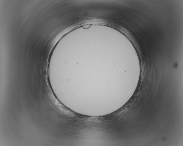 X0000114580861200911301333