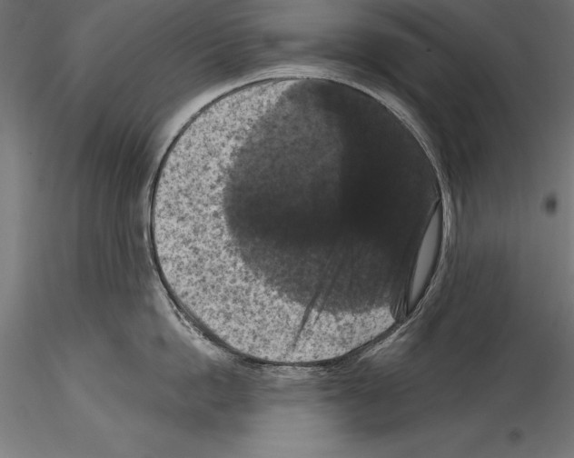 X0000114580862200911301333