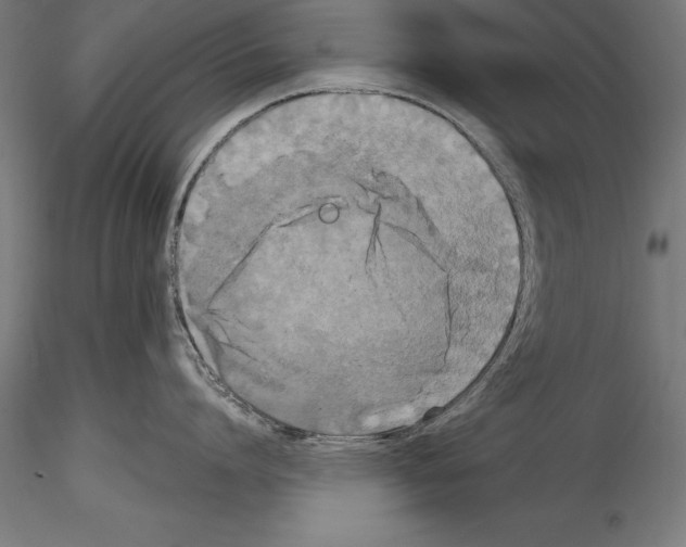 X0000114580864200911301333