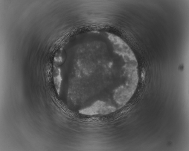 X0000114580867200911301332