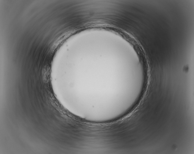 X0000114580873200911301332