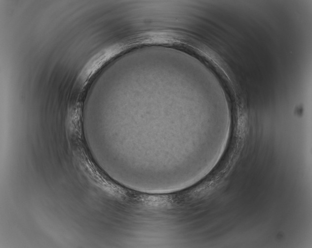 X0000114580874200911301332