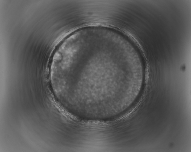 X0000114580876200911301332