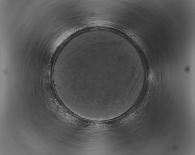 X0000114580877200911301332