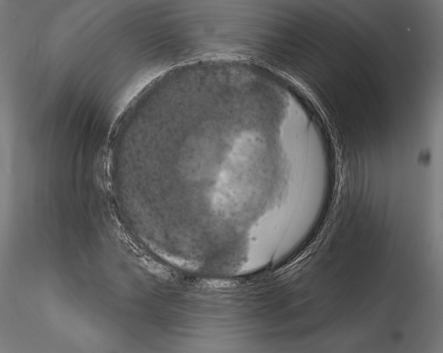 X0000114580878200911301332