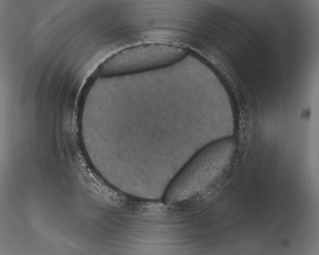 X0000114580880200911301332