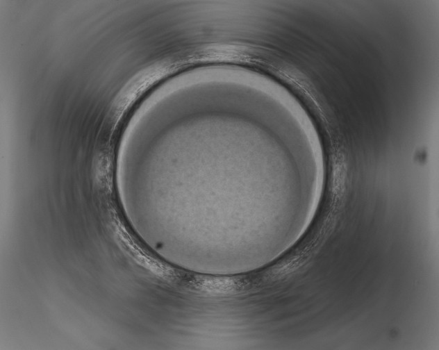 X0000114580882200911301332