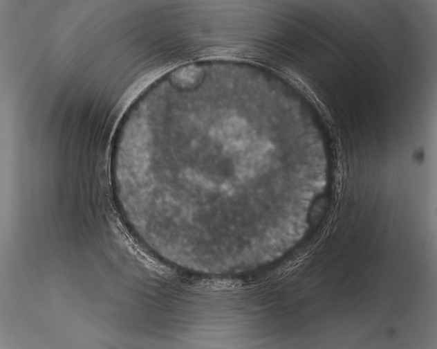 X0000114580884200911301332