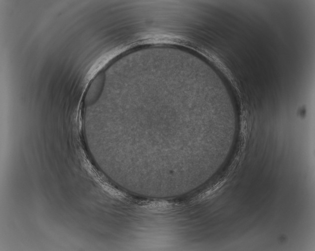 X0000114580885200911301332