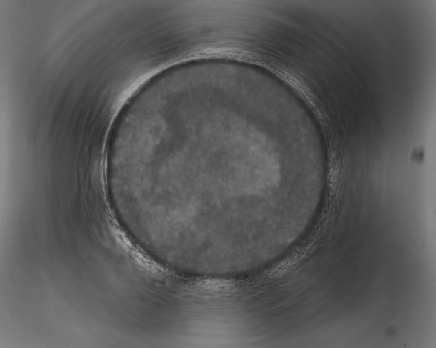 X0000114580888200911301332