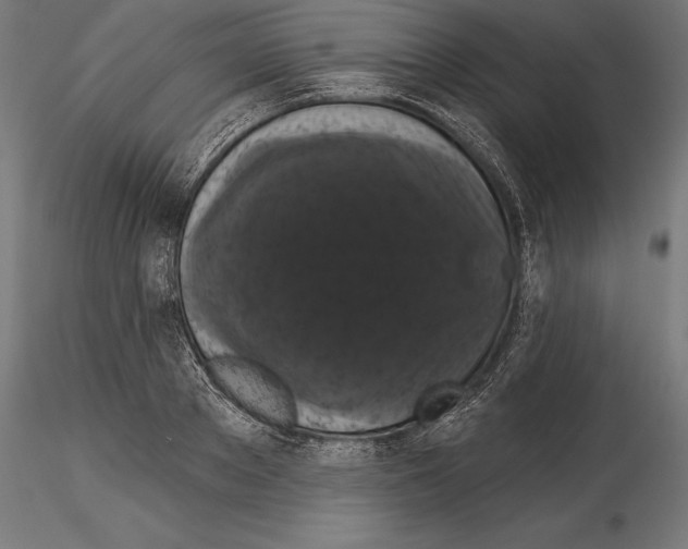 X0000114580889200911301332