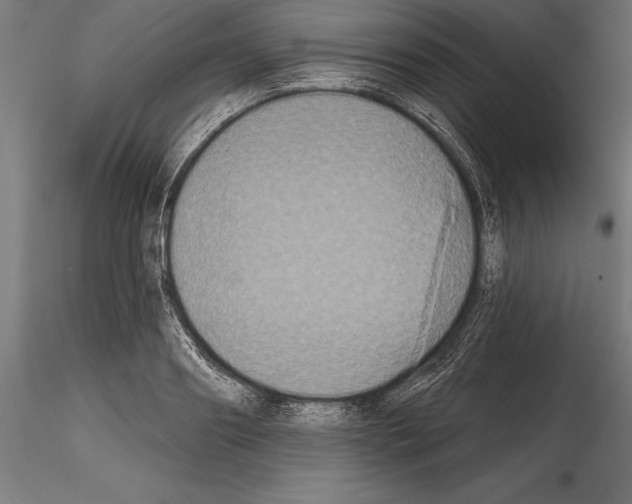 X0000114580890200911301332