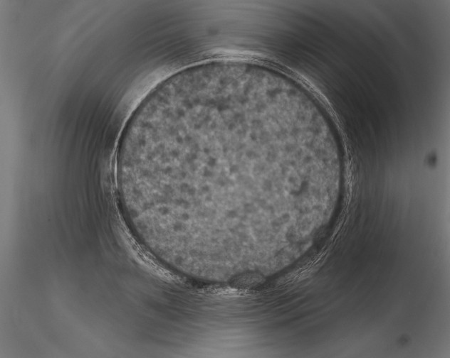 X0000114580891200911301332