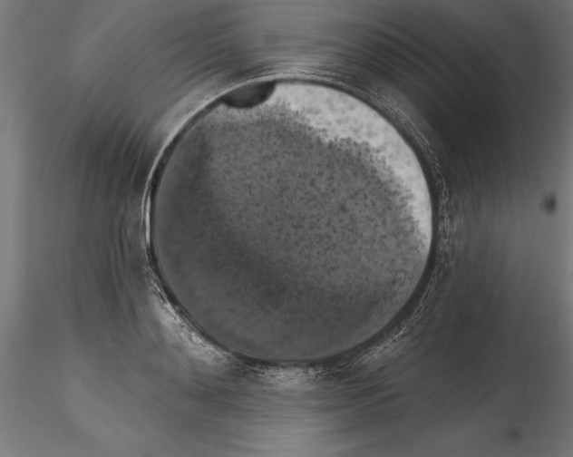 X0000114580892200911301332