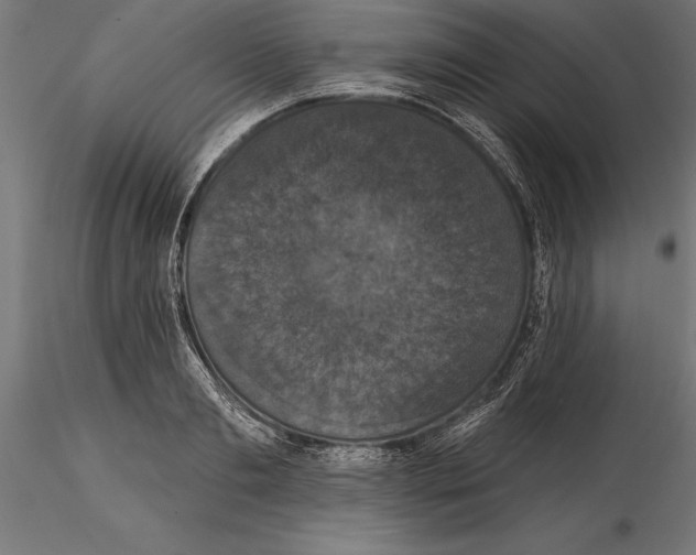 X0000114580893200911301332