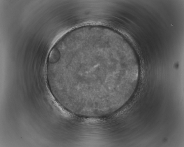 X0000114580894200911301332