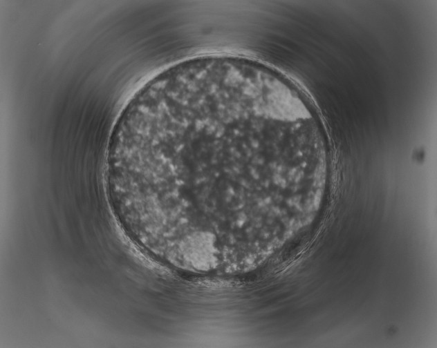 X0000114580895200911301332