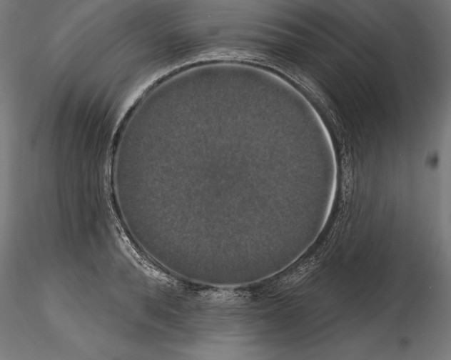 X0000114580896200911301332