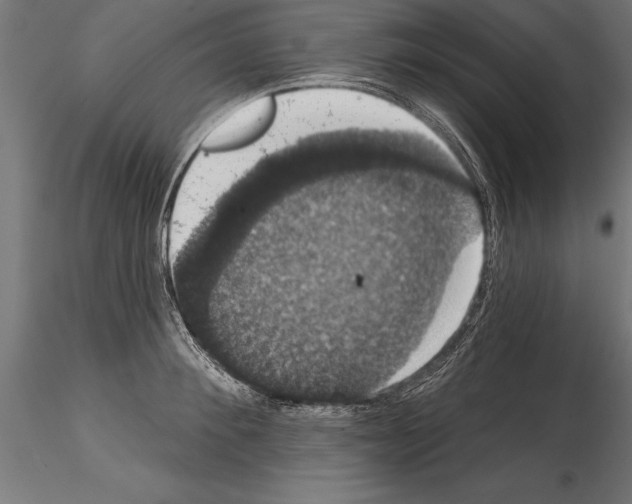 X0000114580900200911301332