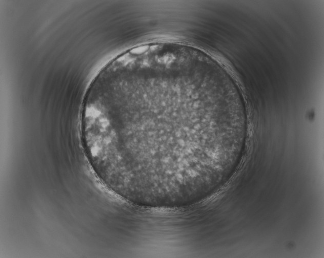 X0000114580904200911301332