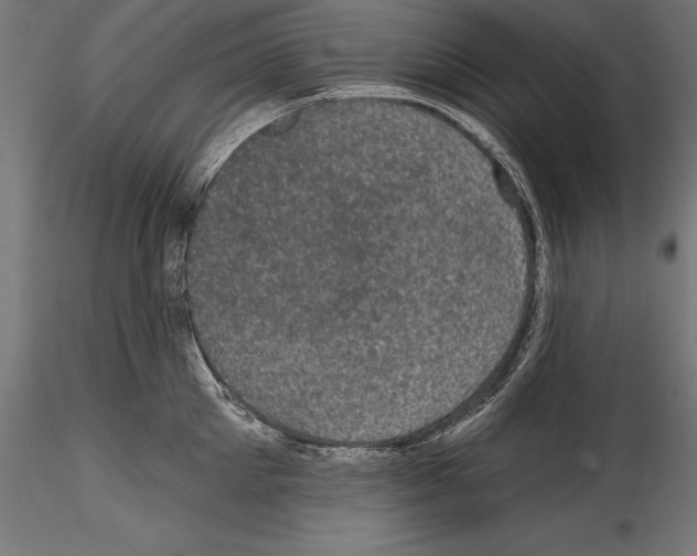 X0000114580905200911301332