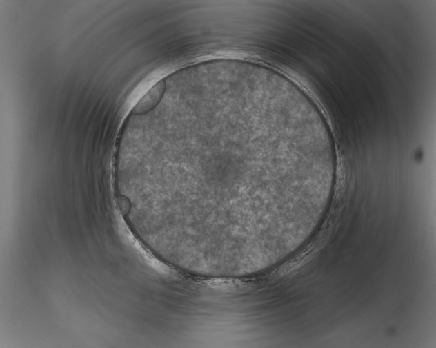 X0000114580906200911301332