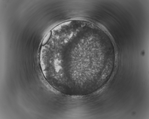 X0000114580908200911301332