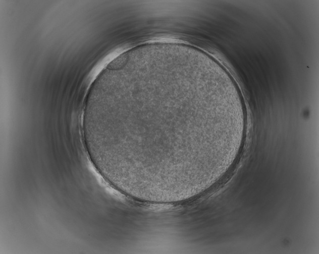 X0000114580909200911301332