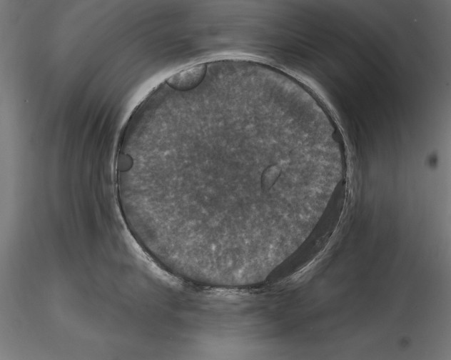 X0000114580910200911301332