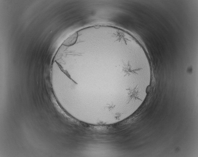 X0000114580911200911301332