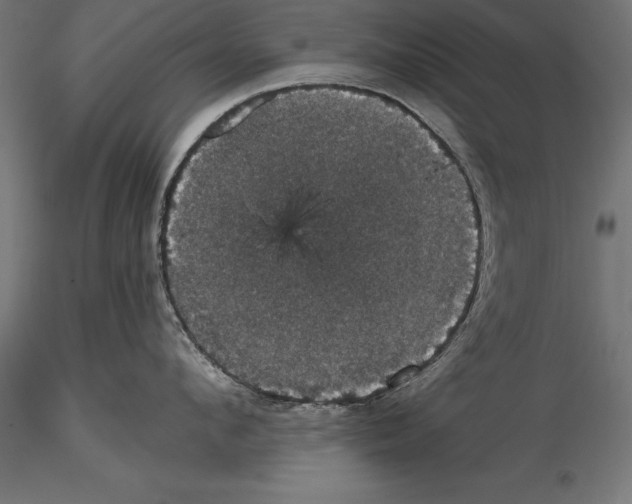 X0000114580912200911301331