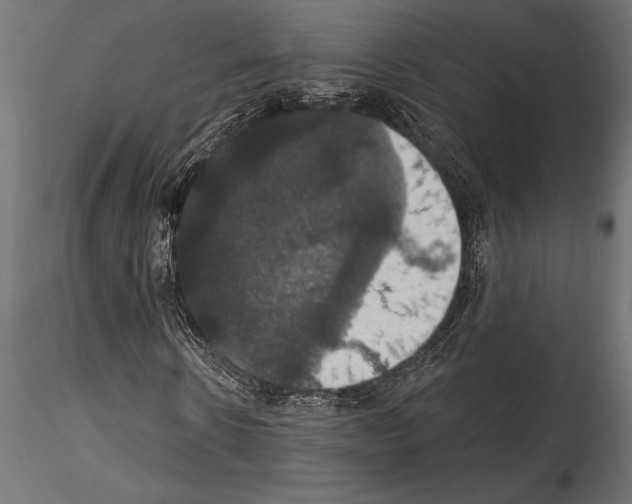 X0000114580914200911301331