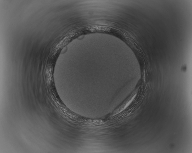 X0000114580915200911301331