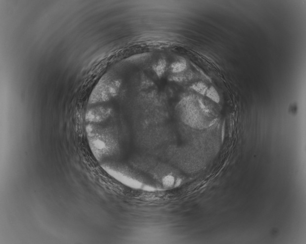 X0000114580917200911301331