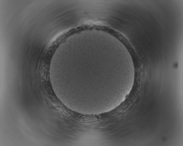 X0000114580919200911301331