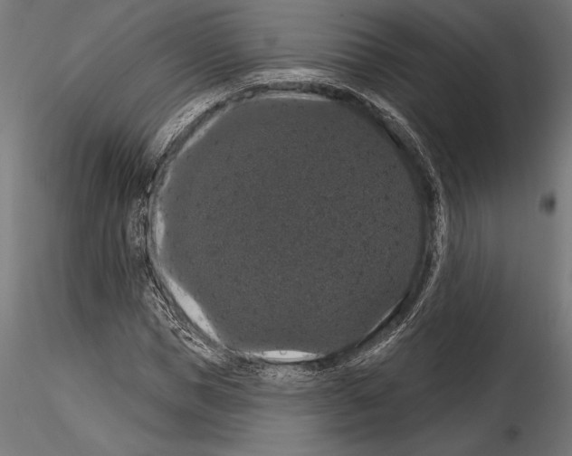 X0000114580921200911301331