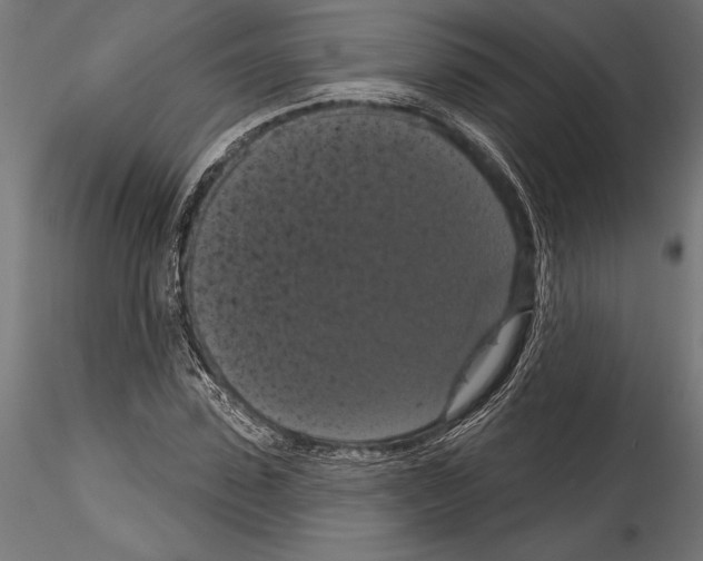 X0000114580923200911301331