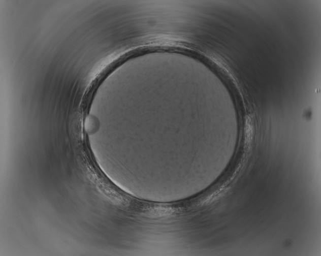 X0000114580925200911301331