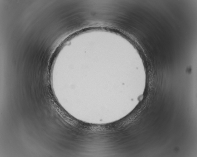 X0000114580927200911301331