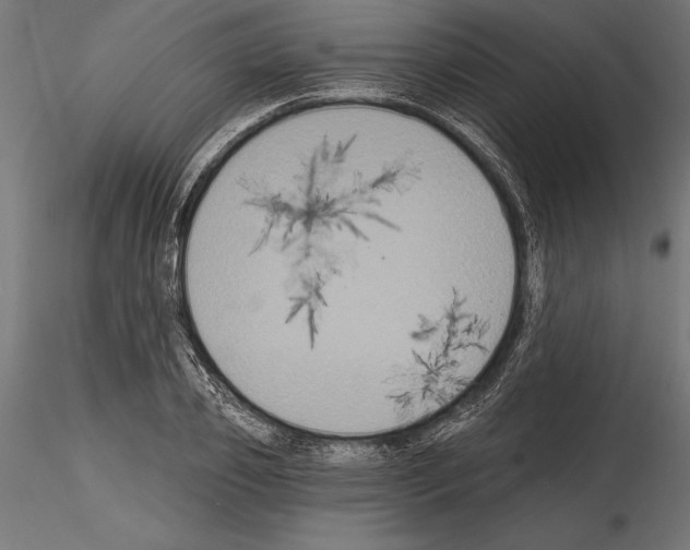 X0000114580933200911301331