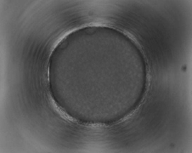 X0000114580934200911301331