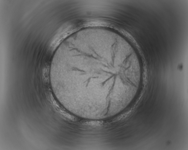 X0000114580937200911301331