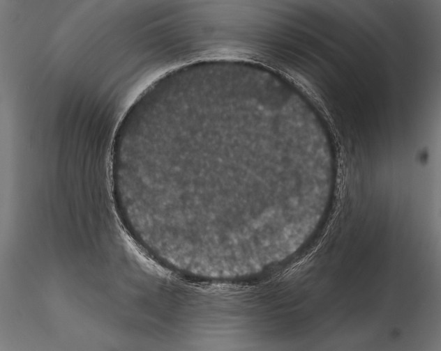 X0000114580942200911301331