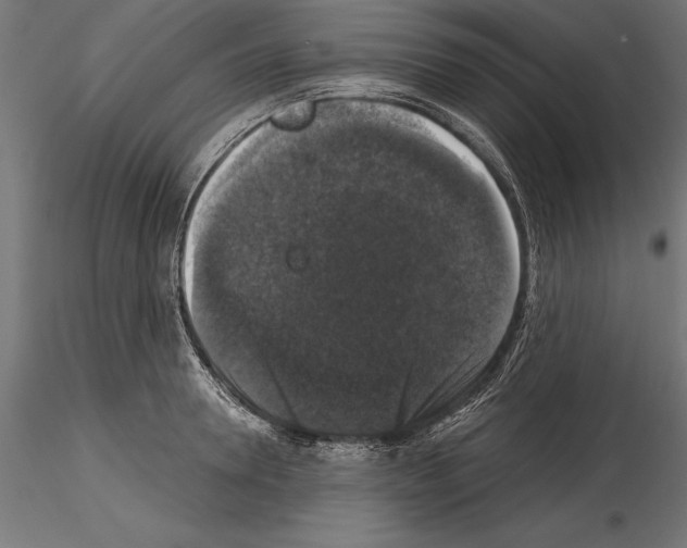 X0000114580946200911301331